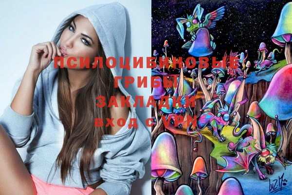 амф Алексеевка