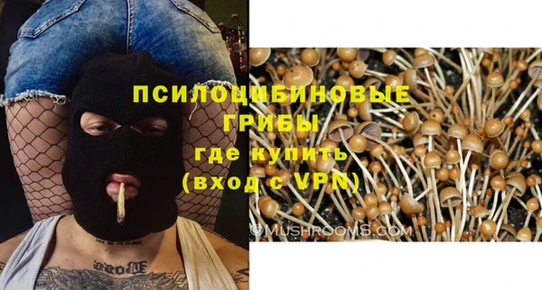 амф Алексеевка